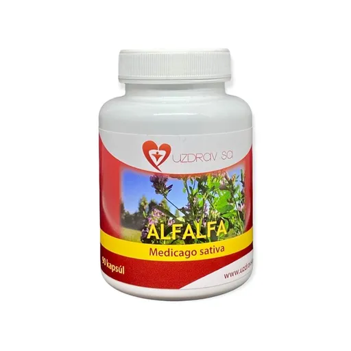 Alfalfa - lucerna 90 cps