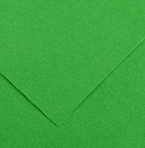 CANSON COLORLINE - Obojstranné farebné papiere 50 x 65 cm, 29 - bright green, 10 ks