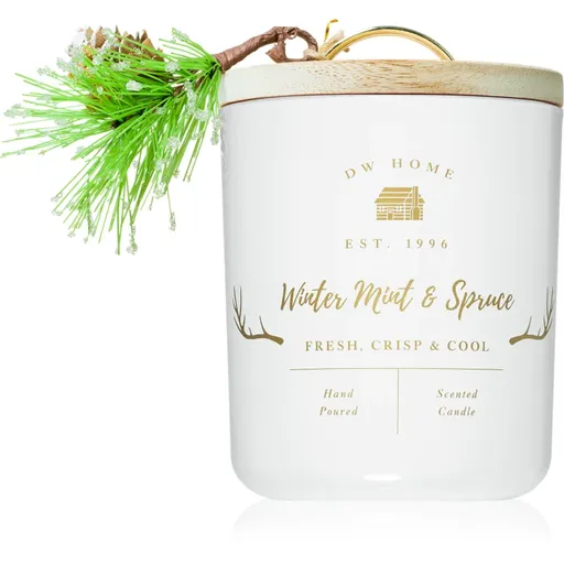 DW Home Farmhouse Winter Mint & Spruce vonná sviečka 244 g