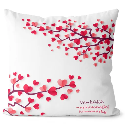 Vankúšik najúžasnejšej kamarátky (Veľkosť: 40 x 40 cm)