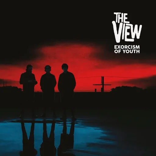 Exorcism of Youth - The View LP