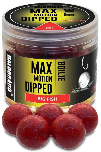 Haldorádó dipované boilies dipped max motion 80 g 20 mm - veľká ryba
