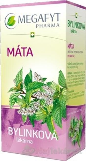 MEGAFYT Bylinková lekáreň MATA, 20x1,5g