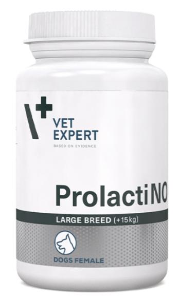 Vet Planet Hepatiale Forte Large Breed 40 tbl