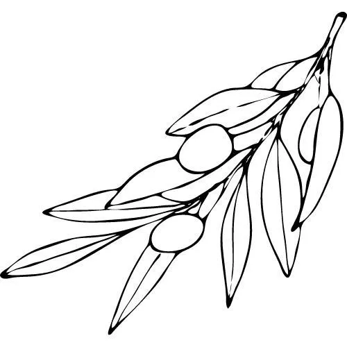 Olivový olej 100% Bio Alteya 100 ml