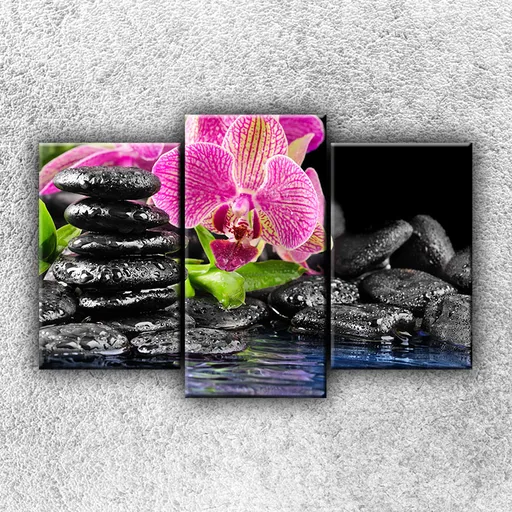Foto na plátne Kamene s kvetinou 3 75x50 cm