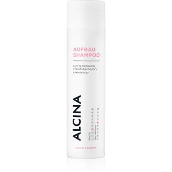 Alcina Color & Blond regeneračný šampón pre farbené vlasy 250 ml