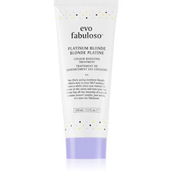 EVO Fabuloso Colour Boosting Treatment maska na vlasy pre zvýraznenie farby vlasov odtieň Platinum Blonde 220 ml