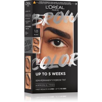 L’Oréal Paris Brow Color farba na obočie odtieň 1.0 Black 1 ks
