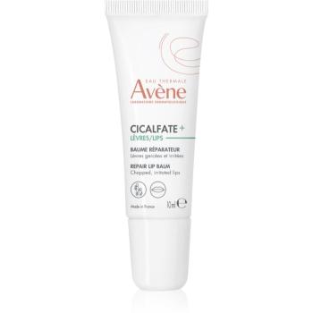 Avène Cicalfate+ obnovujúci balzám na suché pery 10 ml