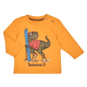 Timberland  TEE-SHIRT MANCHES LONGUES T60253  Tričká s dlhým rukávom Žltá