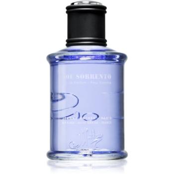 Jeanne Arthes J.S. Joe Sorrento parfumovaná voda pre mužov 100 ml