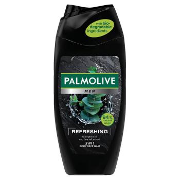 Palmolive sprchový gél 250ML MEN 3V1 ACTIVE CARE