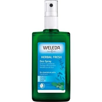 Weleda Šalviový deodorant 100 ml