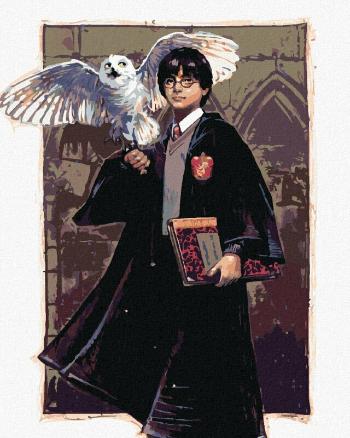 Zuty Maľovanie podľa čísel Harry Potter a Hedviga v Rokforte