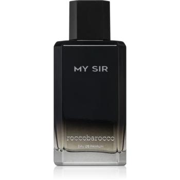 Roccobarocco My Sir parfumovaná voda pre mužov 100 ml