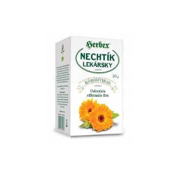 Herbex NECHTÍK LEKÁRSKY kvet sypaný čaj 30 g