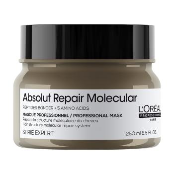 L'Oréal Professionnel Maska pre poškodené vlasy Absolute Repair Molecular (Professional Mask) 250 ml