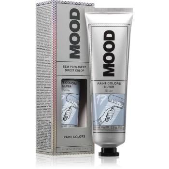 MOOD Paint Colors permanentná farba na vlasy odtieň Silver 100 ml