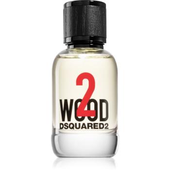 Dsquared2 2 wood toaletná voda pre mužov 50 ml