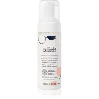 Gallinée SKIN CARE Foaming Facial Cleanser jemná čistiaca pena na tvár 150 ml