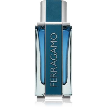 Ferragamo Ferragamo Intense Leather parfumovaná voda pre mužov 100 ml