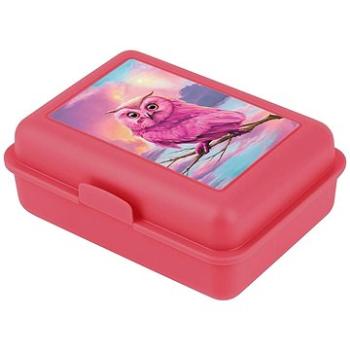 BAAGL Box na desiatu Sova (A-31609)