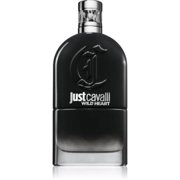 Roberto Cavalli Just Cavalli Wild Heart toaletná voda pre mužov 90 ml