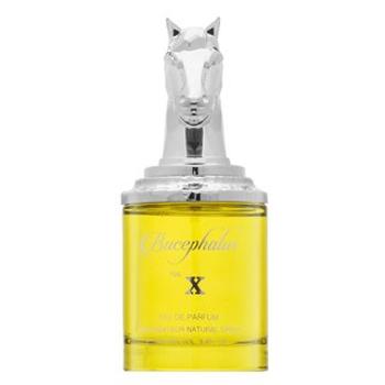 Armaf Bucephalus No. X parfémovaná voda pre mužov 100 ml