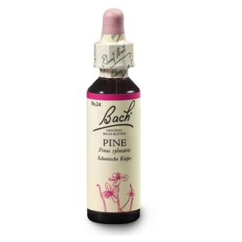 ORIGINAL BACH® Pine 20 ml