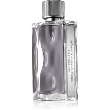 Abercrombie & Fitch First Instinct toaletná voda pre mužov 100 ml