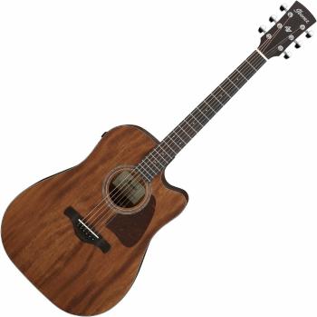 Ibanez AW1040CE-OPN Open Pore Natural Elektroakustická gitara Dreadnought