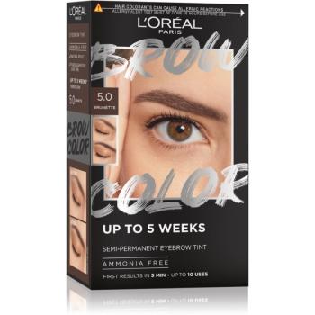 L’Oréal Paris Brow Color farba na obočie odtieň 5.0 Brunette 1 ks