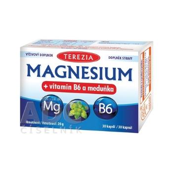 TEREZIA MAGNESIUM + vitamin B6 a meduňka