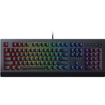 Razer Cynosa V2 (RZ03-03400100-R3M1)