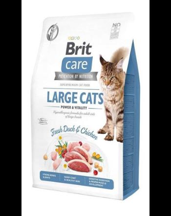 BRIT Care Cat Grain-Free Large Cats hrana uscata pentru pisici talie mare 2 kg