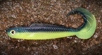 Redbass gumová nástraha twister kixter black/signal yellow g uv color - 12,5 cm 14 g