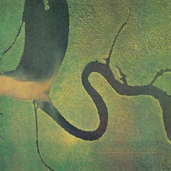 DEAD CAN DANCE - SERPENT'S EGG, Vinyl