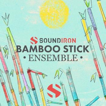 Soundiron Bamboo Stick Ensemble (Digitálny produkt)