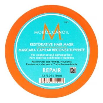 Moroccanoil Maska pre hĺbkovú regeneráciu vlasov (Restorative Hair Mask) 250 ml