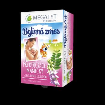 MEGAFYT Bylinný čaj pre dojčiace matky s jastrabinou 20 x 1.5 g