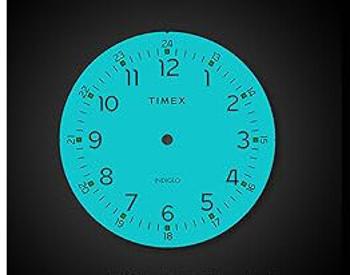 Dámske hodinky TIMEX EASY READER 25mm TW2U79100  + BOX