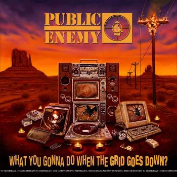 Public Enemy, WHAT YOU GONNA DO WHEN THE, CD