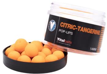 Vitalbaits pop-up citric-tangerine 50 g - 18 mm