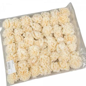 Ming szegfű - 50 db-os 4 cm