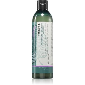 Elgon Green Imagea Essential Shampoo šampón 250 ml