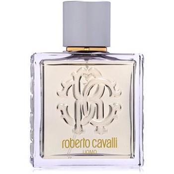 ROBERTO CAVALLI Uomo Silver Essence EdT