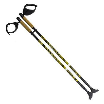 NILS Extreme NW 603 nordic walking palice