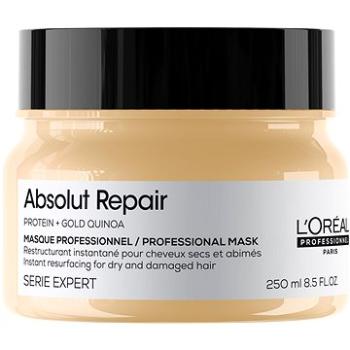 LORÉAL PROFESSIONNEL Serie Expert New Absolut Repair Mask 250 ml (3474636971039)