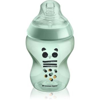 Tommee Tippee Closer To Nature Anti-colic Pip the Panda cumisüveg Slow Flow 0m+ 260 ml